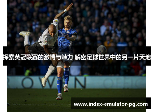 探索英冠联赛的激情与魅力 解密足球世界中的另一片天地 探索英冠联赛的激情与魅力 解密足球世界中的另一片天地