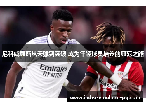 尼科威廉斯从天赋到突破 成为年轻球员培养的典范之路