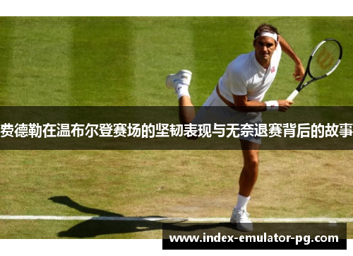 费德勒在温布尔登赛场的坚韧表现与无奈退赛背后的故事